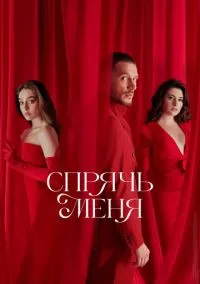 сериал Спрячь меня (1 сезон) смотреть онлайн Лордфильм